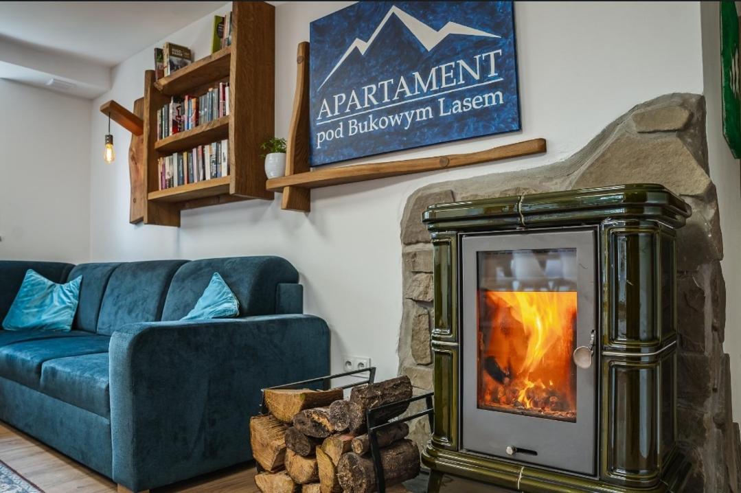 Apartament Pod Bukowym Lasem Meszna 外观 照片